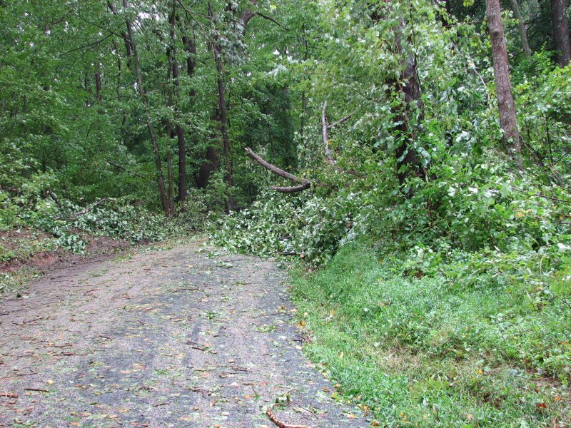 A path