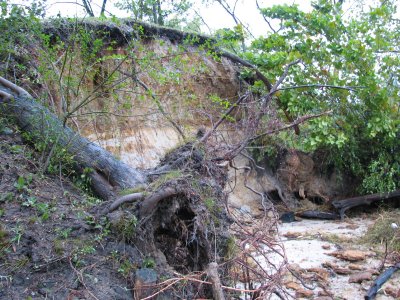 Now a cliff