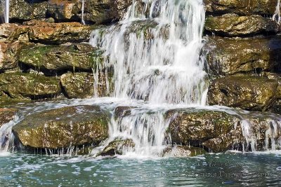 Fountain in the Duck pond