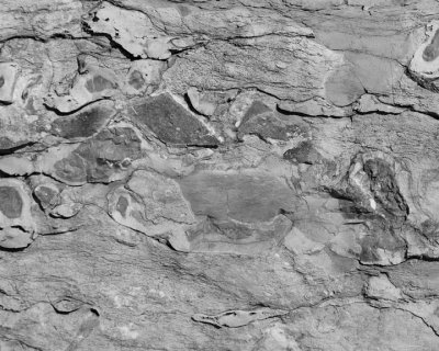 Stone texture_E.jpg