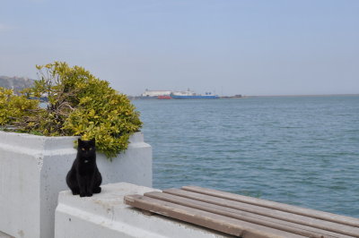 DSC_7793.JPG