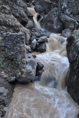 DSC_7865.JPG