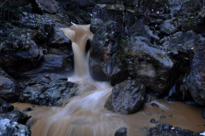DSC_7905.JPG