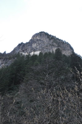 DSC_7910.JPG