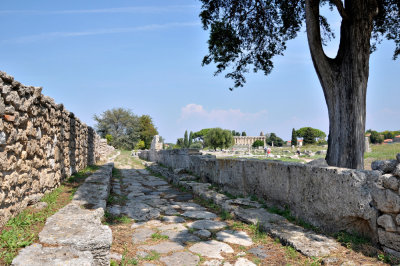 Paestum