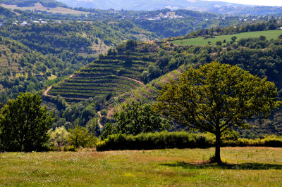 Aveyron countryside