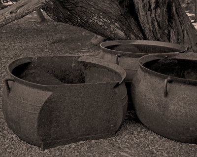  Blubber Pots