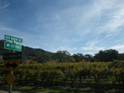 Red Winery Road - 46