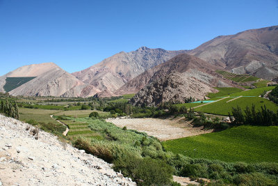 Elqui Valley and Vicua - Chile