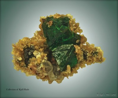  Focus Result 2 (B, 8, 4).jpg