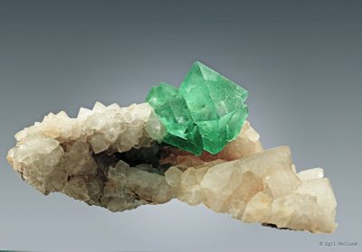  Focus Result 2 (C, 8, 4).jpg