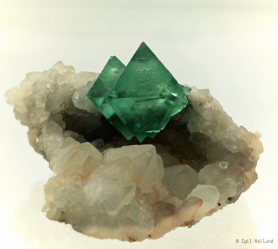  Focus Result 3 (C, 8, 4).jpg