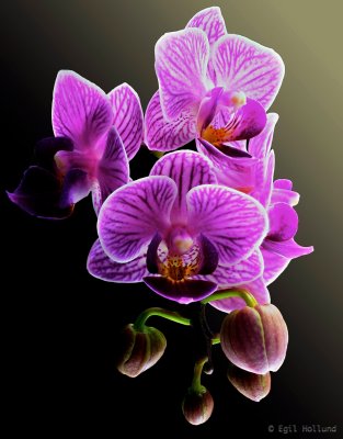  Focus Result (C, 8, 4) 2.jpg