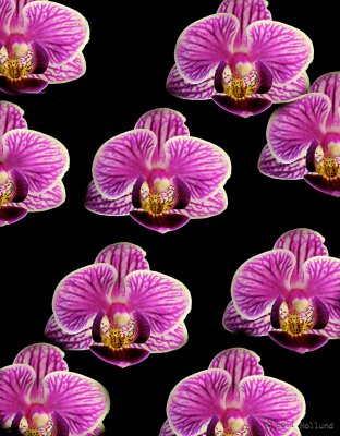  Focus Result (C, 8, 4).jpg