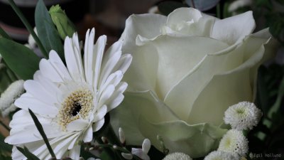  IMG_5783.jpg