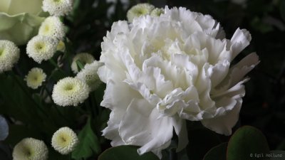  IMG_5784.jpg