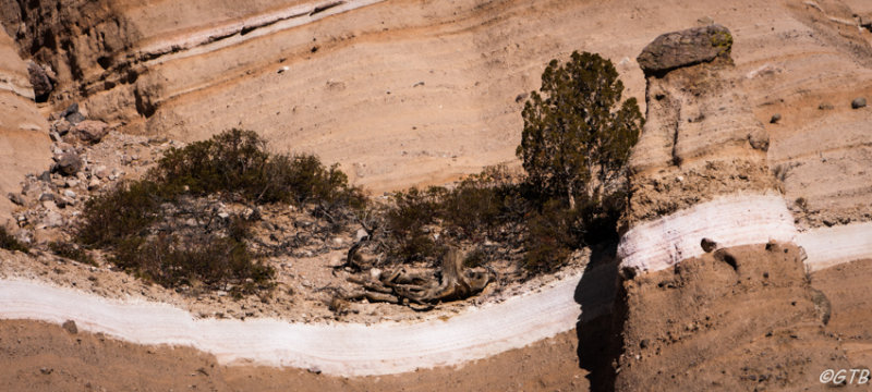 gtb_Taos_Jan 2013-19.jpg
