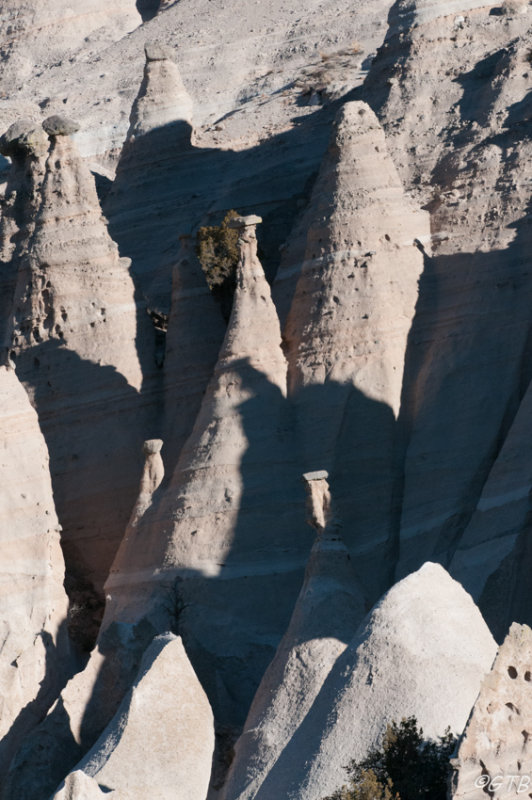 gtb_Taos_Jan 2013-48.jpg