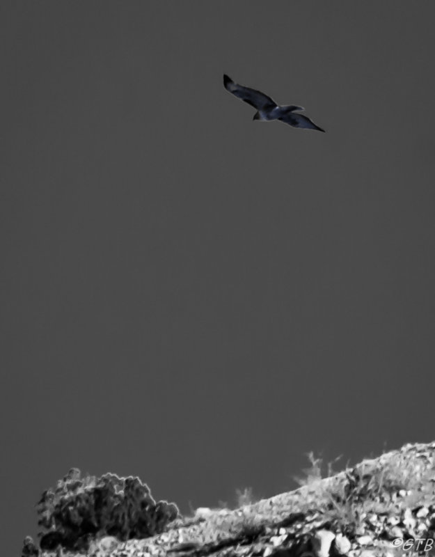 gtb_Taos_Jan 2013-61.jpg
