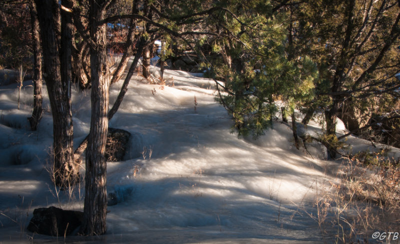 gtb_Taos_Jan 2013-41.jpg
