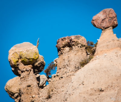 gtb_Taos_Jan 2013-28.jpg