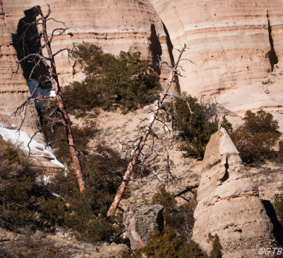 gtb_Taos_Jan 2013-32.jpg