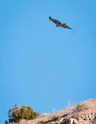 gtb_Taos_Jan 2013-60.jpg