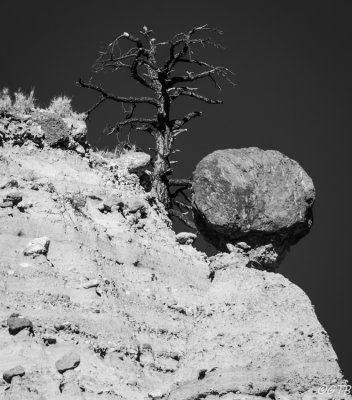 gtb_Taos_Jan 2013-65.jpg