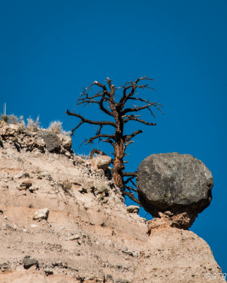 gtb_Taos_Jan 2013-66.jpg