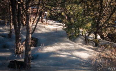 gtb_Taos_Jan 2013-41.jpg