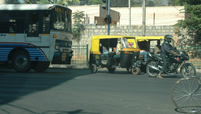 DSC_7161_proc.JPG