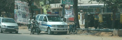 DSC_7213_proc.JPG