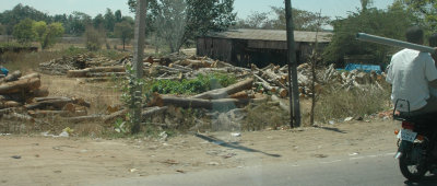 DSC_7219_proc.JPG