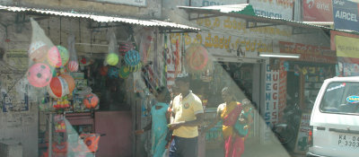 DSC_7233_proc.JPG