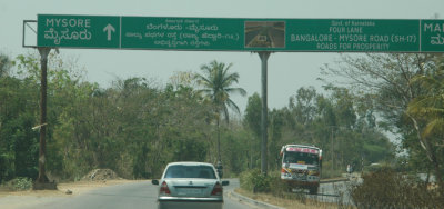 DSC_7244_proc.jpg