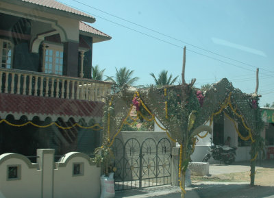 DSC_7266_proc.JPG