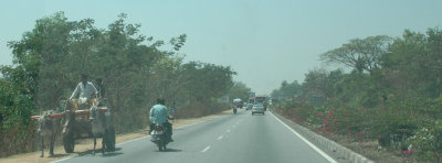 DSC_7293_proc.JPG