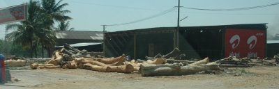 DSC_7294_proc.JPG