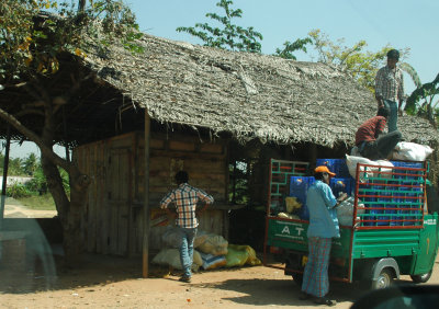 DSC_7377_proc.jpg