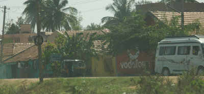 DSC_7381_proc.jpg