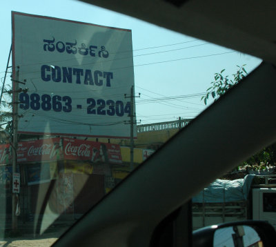 DSC_7386_proc.jpg