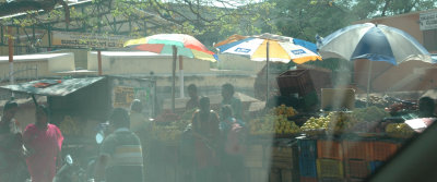 DSC_7399_proc.jpg
