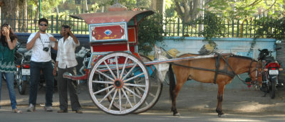 DSC_7429_proc.jpg