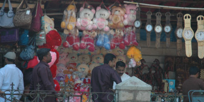 DSC_7443_proc.jpg