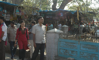 About the Town