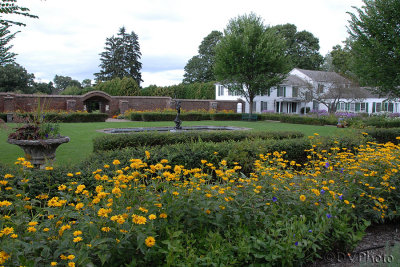 AnotherGardenView.jpg