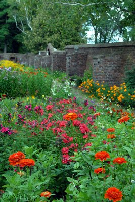 MoreFlowersAndBricks.jpg