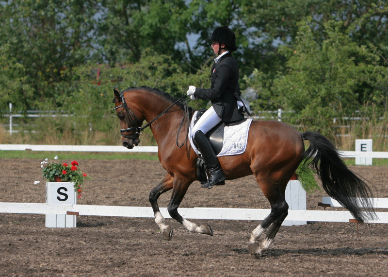 Rikke Sofie Bllingtoft/ CoelenhageS Purioso