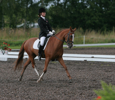 Sofie Krogh Seemann/ Ferrari