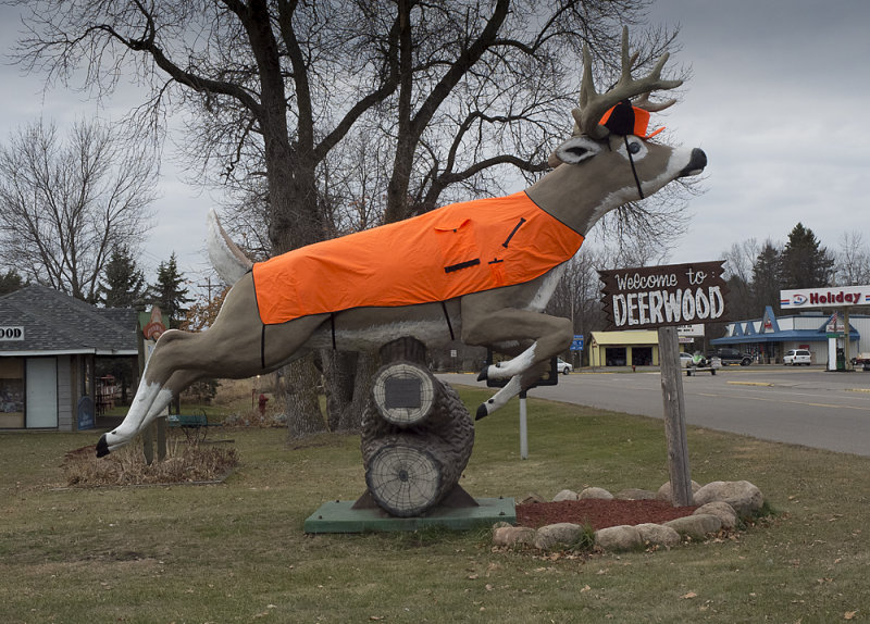 Welcome to Deerwood